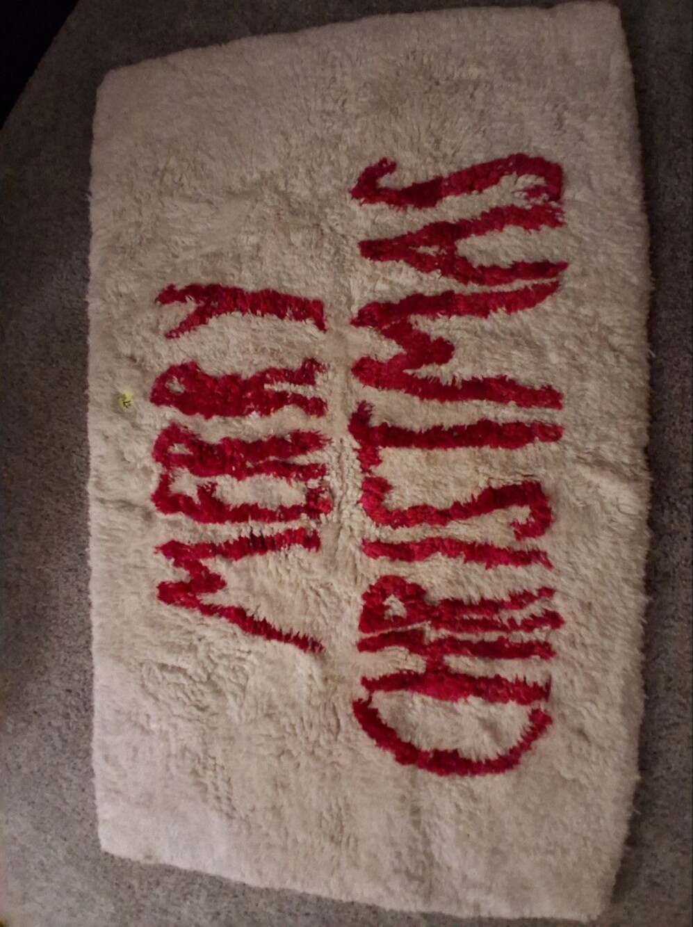 Plush Ivory Rug with Red Text
